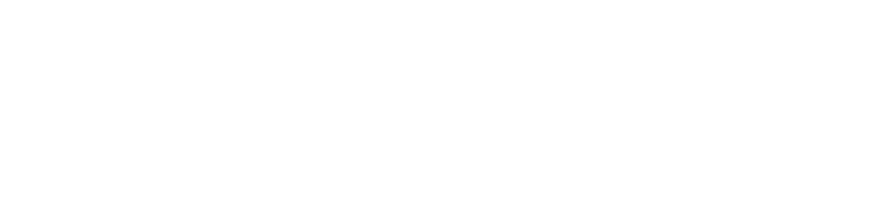 Sharia Professionals Association